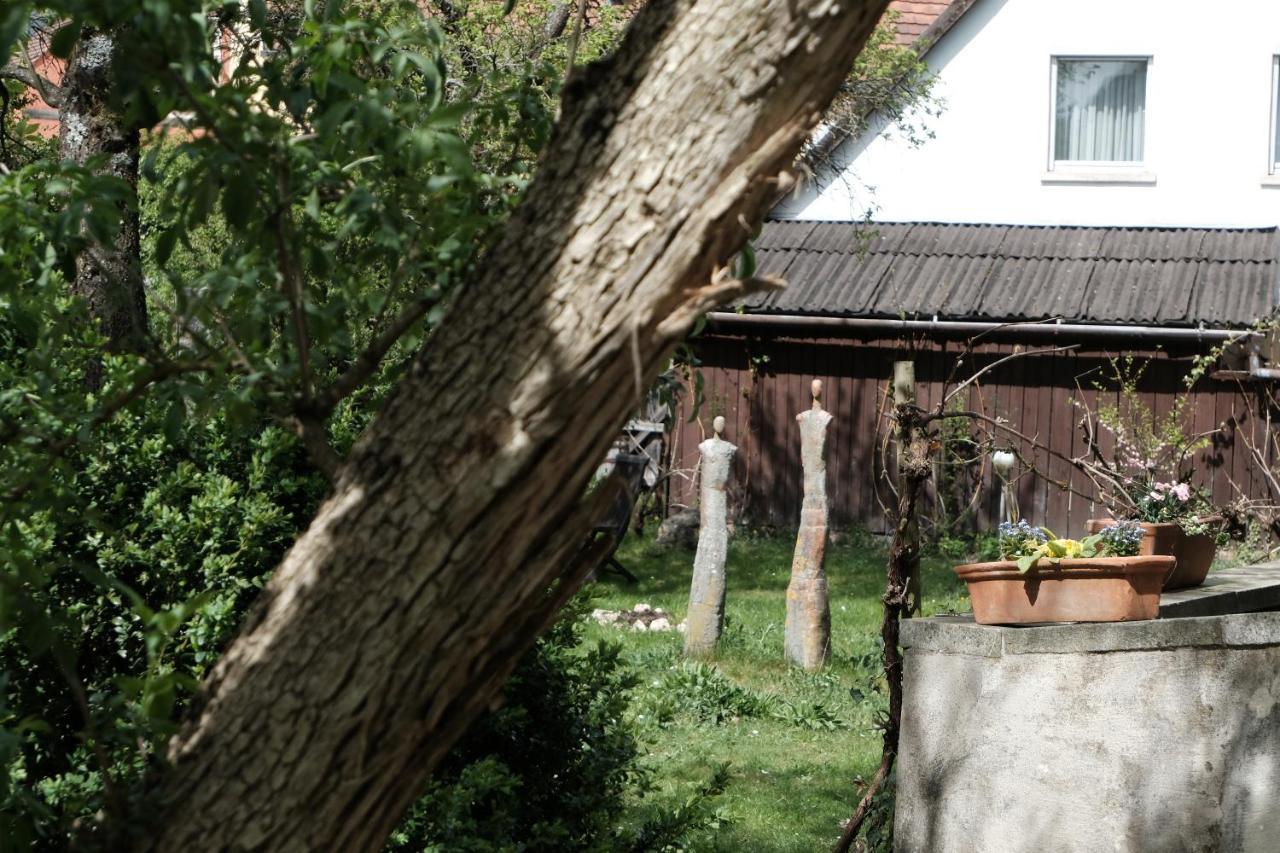 Hotel Zum Goldenen Lowen Kallmünz Exteriér fotografie